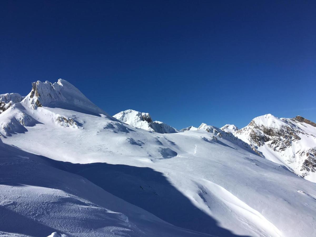 Apartamento Pirineo Aragones ซาบิญานิโก ภายนอก รูปภาพ