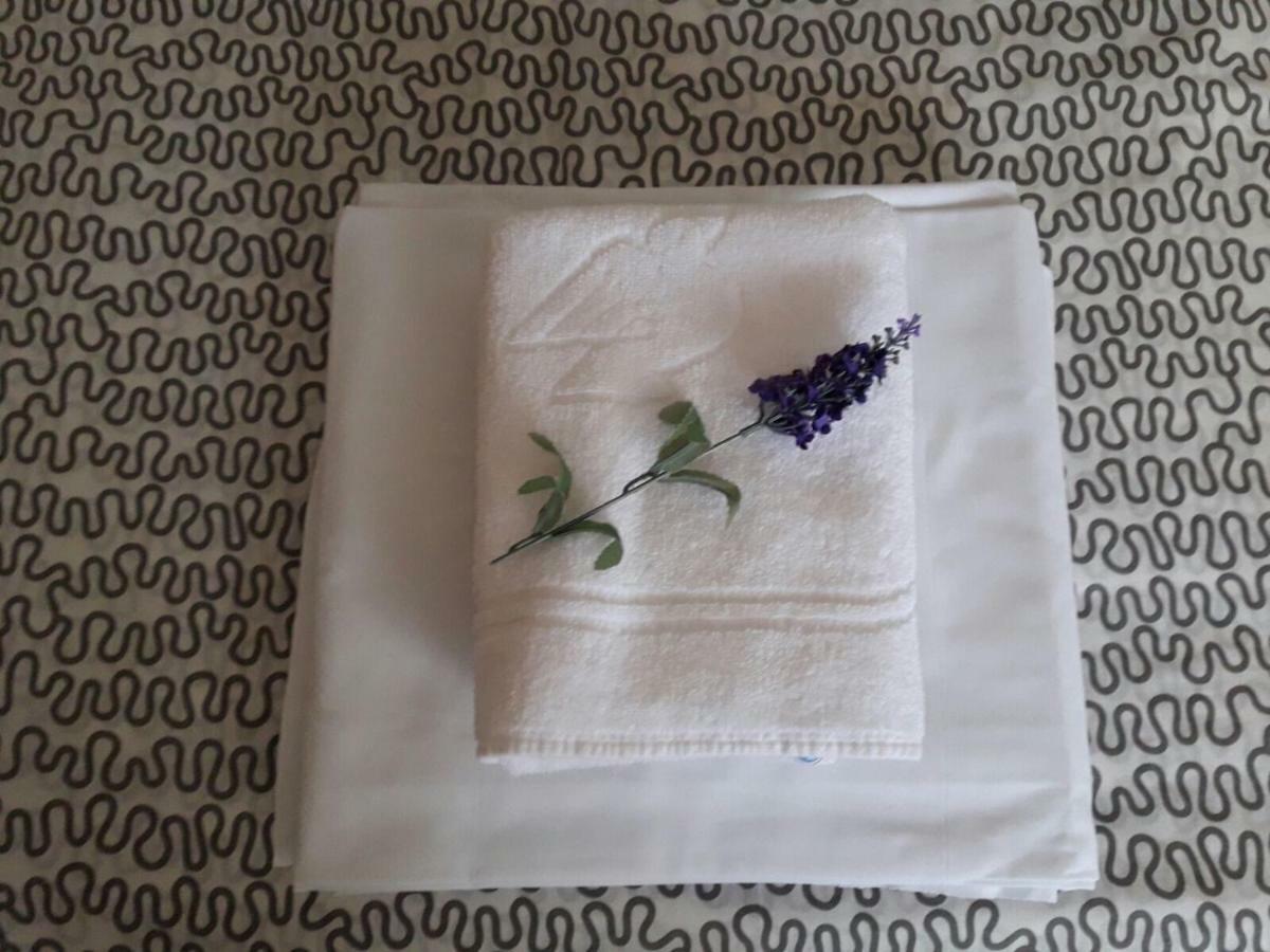 Apartamento Pirineo Aragones ซาบิญานิโก ภายนอก รูปภาพ