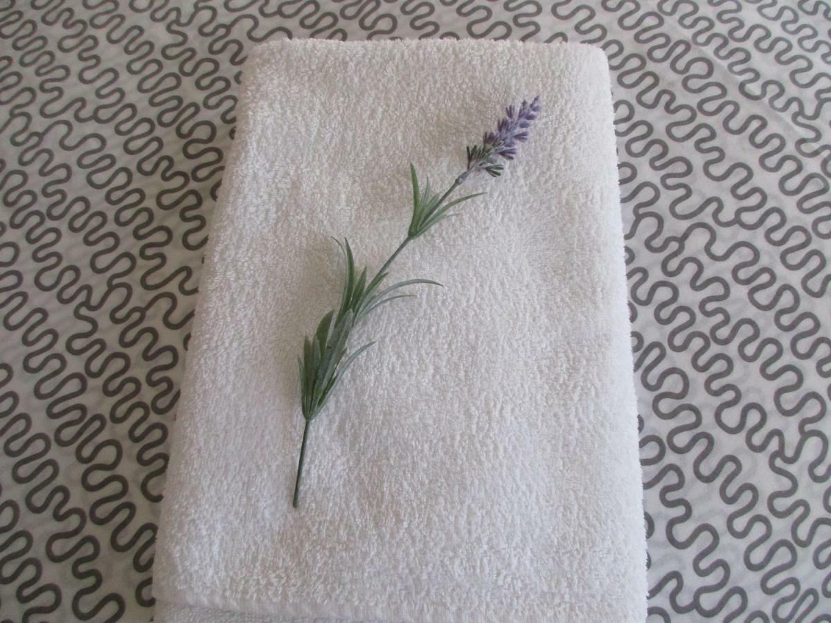 Apartamento Pirineo Aragones ซาบิญานิโก ภายนอก รูปภาพ